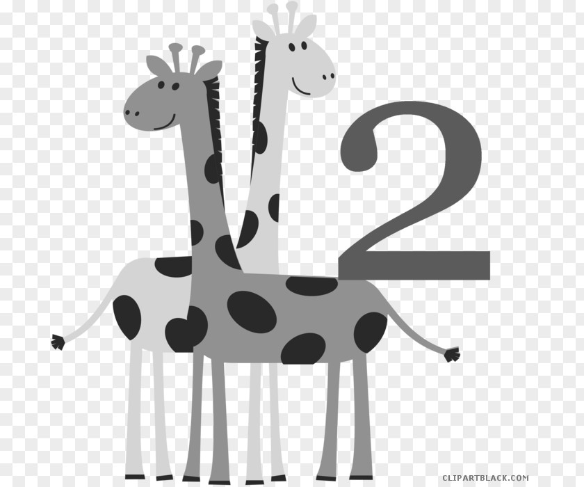 Baby Animal Black And White Giraffes Clip Art Free Content Illustration PNG
