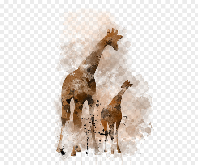 Baby Giraffe Horse Terrestrial Animal Wildlife Mammal PNG