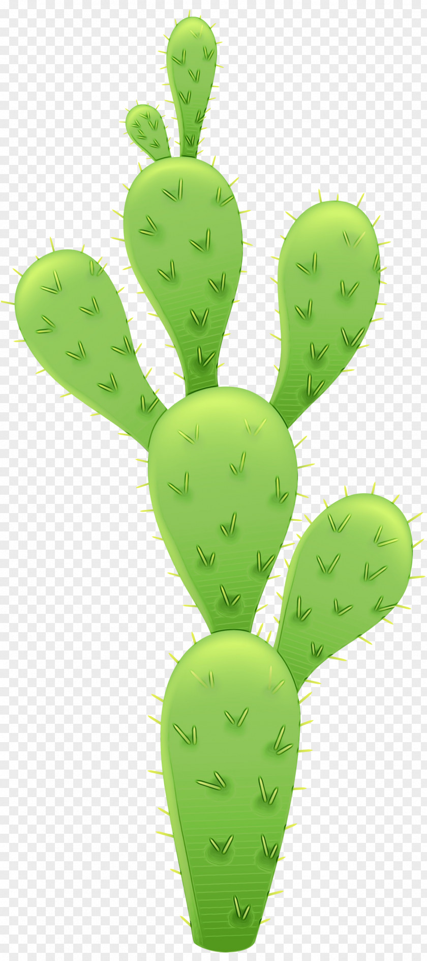 Bunny Ears Cactus Vector Graphics Plants Barbary Fig PNG