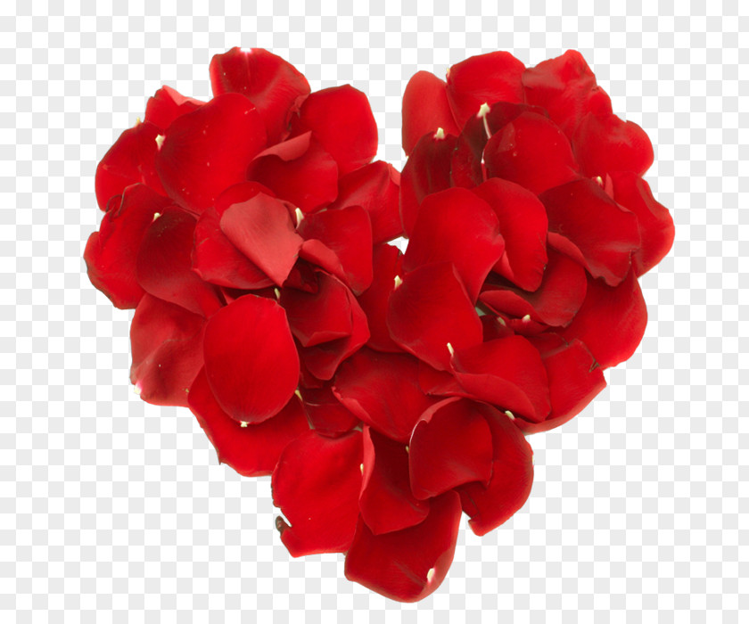 Heart Petal Valentine's Day Flower Rose PNG