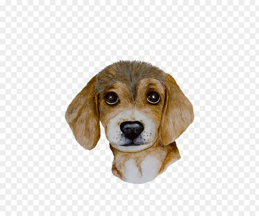 Puppy Beagle Harrier Dog Breed Companion PNG