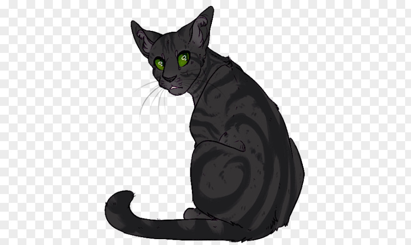 Claw Bombay Cat Korat Black Domestic Short-haired Whiskers PNG
