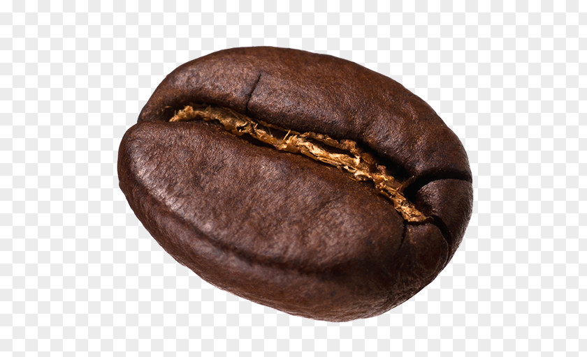 Coffee Bean Chocolate-covered Cafe Kopi Luwak Single-origin PNG