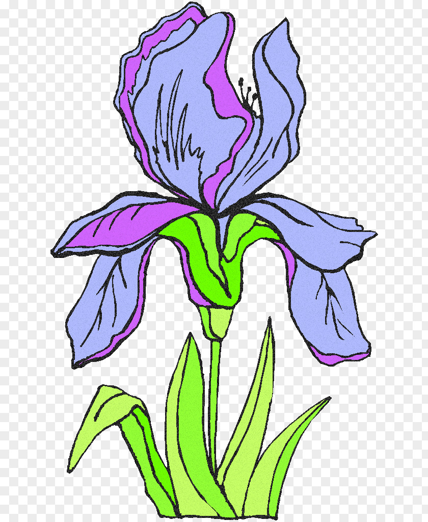 Flower Irises Clip Art Image Free Content PNG