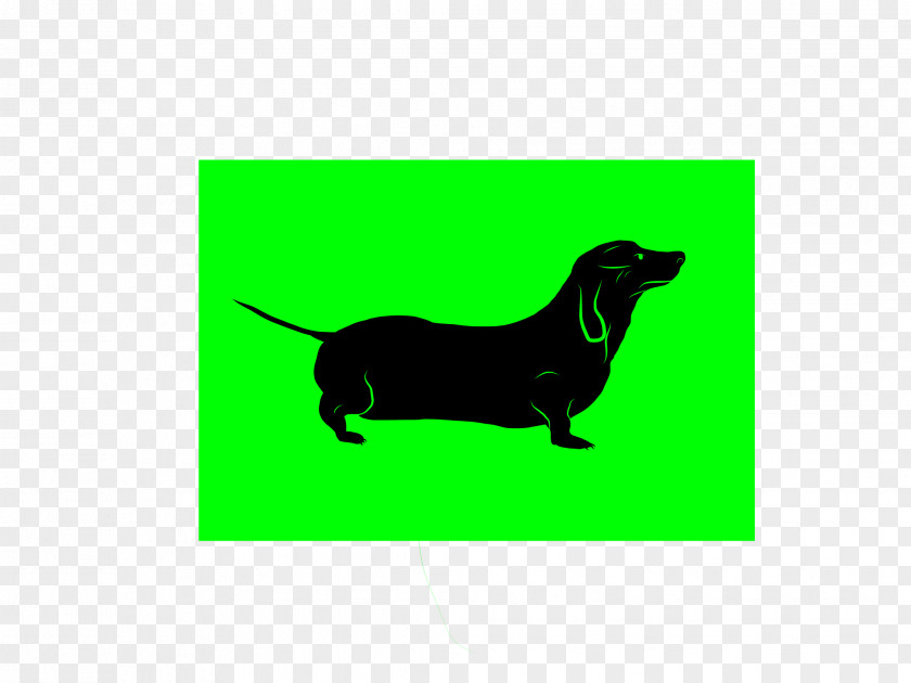 Puppy Dachshund Dog Breed Leash Rectangle PNG