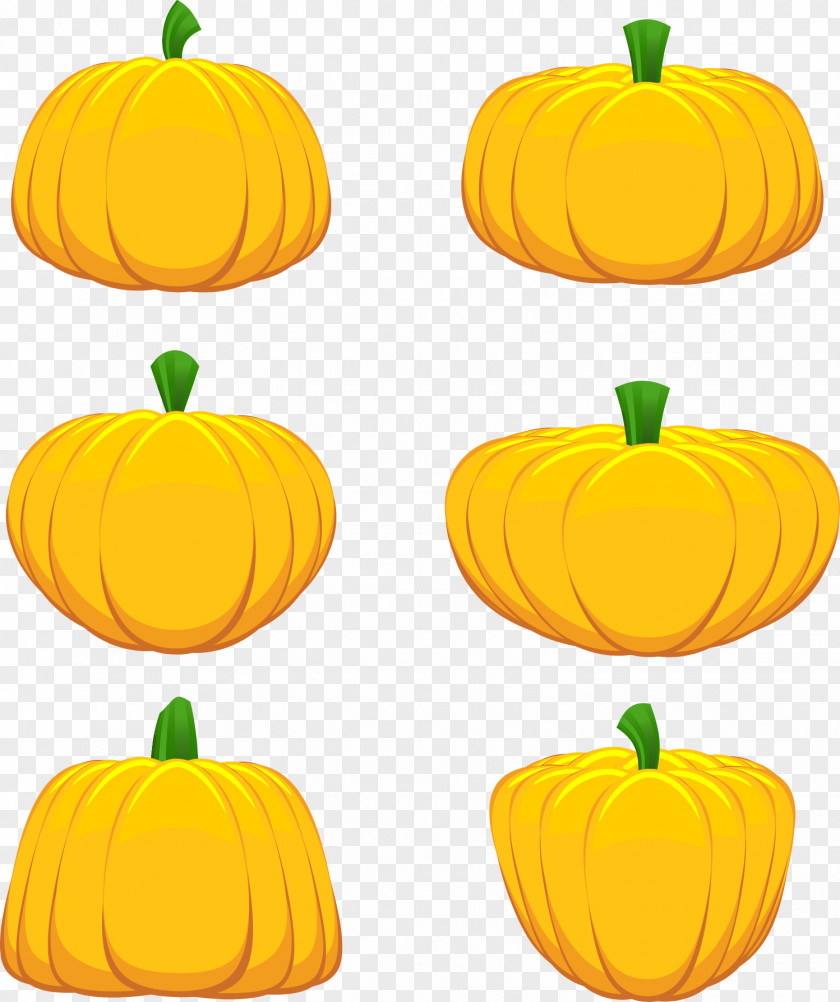 Thanksgiving Pumpkin Vector Jack-o-lantern Calabaza Clip Art PNG