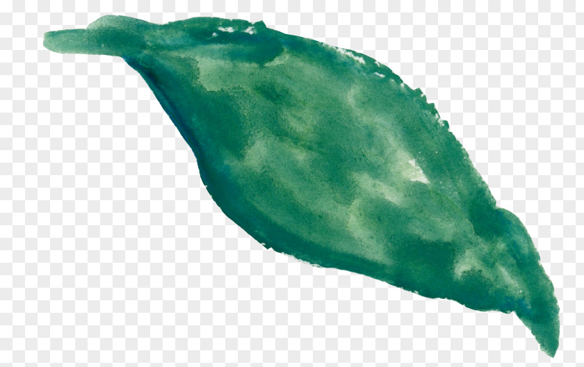Watercolor Leaves Green Marine Mammal PNG