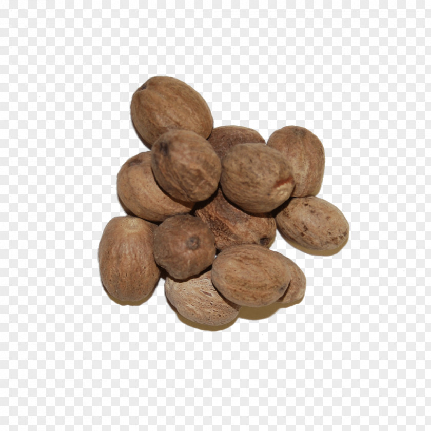 Aromatic Herbs Nutmeg Oil Essential PNG