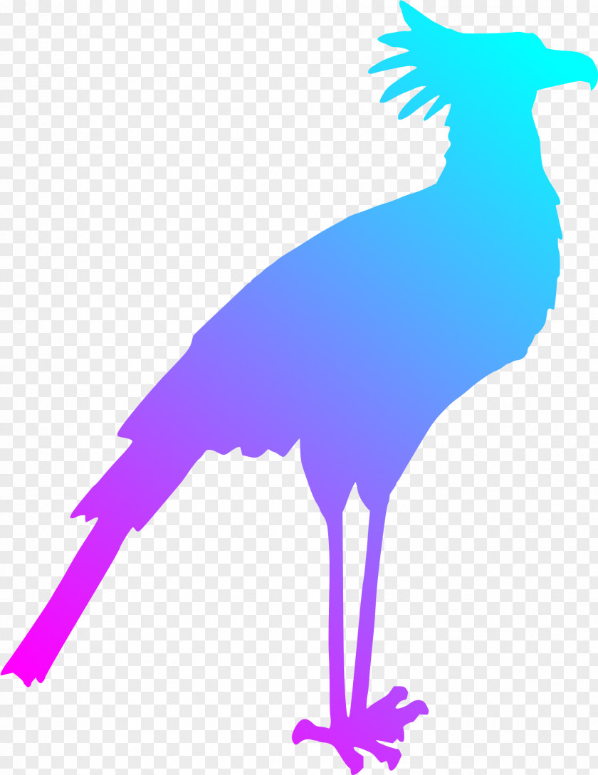 Bird Secretarybird Silhouette Clip Art PNG