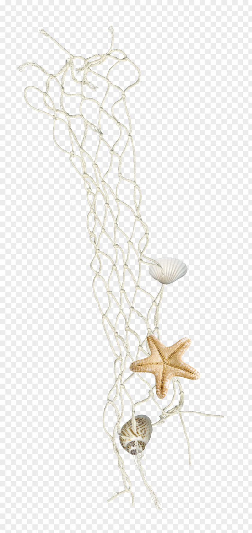 Brown Mesh Rope Knot Fishing Net PNG
