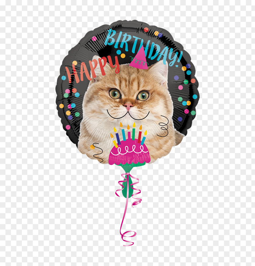 Cat Toy Small To Mediumsized Cats Happy Birthday Balloons PNG