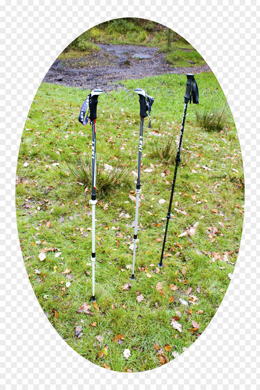 Makalu Hiking Poles LEKI Lenhart GmbH Tentlife PNG