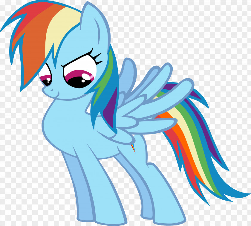 My Little Pony Rainbow Dash Rarity Pinkie Pie Twilight Sparkle Derpy Hooves PNG