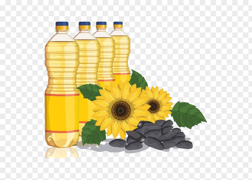 Sunflower Oil Common Cooking Vegetable PNG