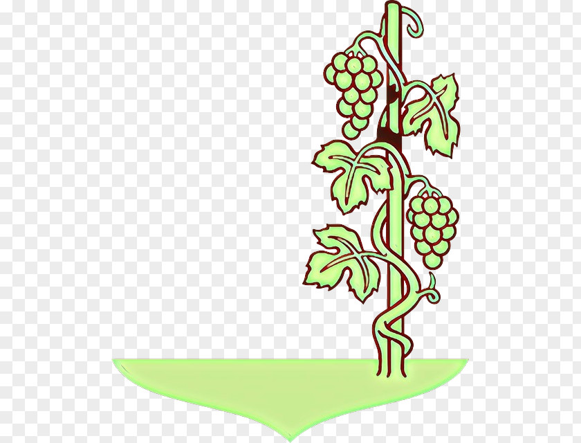 Vitis Plant Flower Line Art PNG