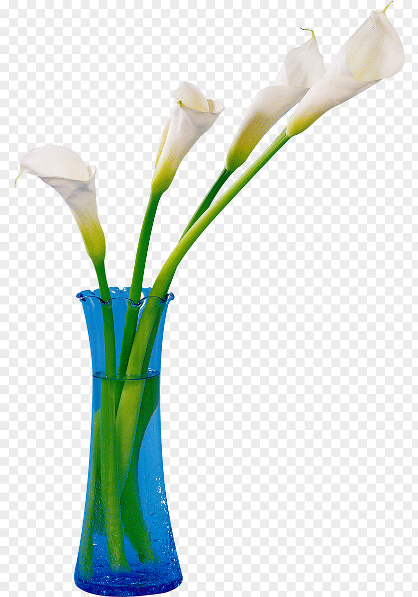 Flower Floral Design Cut Flowers Lilium PNG