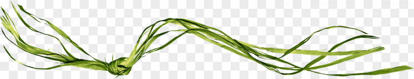 Leaf Grasses Line Angle Body Jewellery PNG