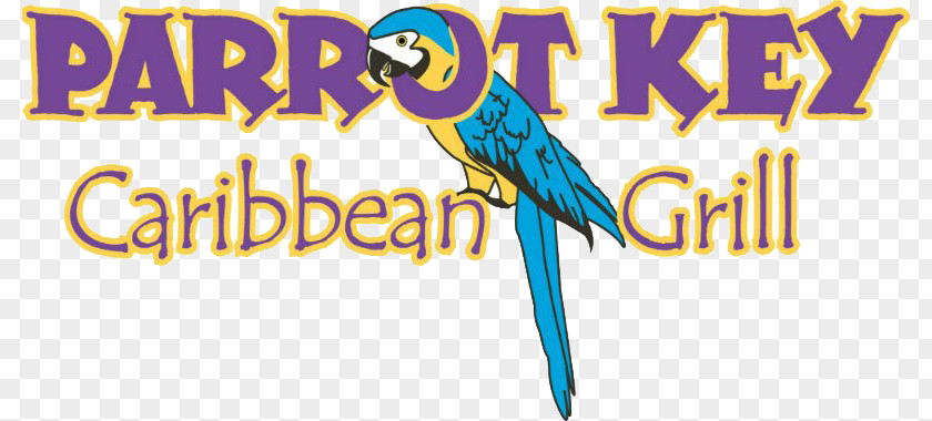 Parrot Ice Frozen Beverage Key Caribbean Grill Fort Myers Beach Macaw Logo PNG