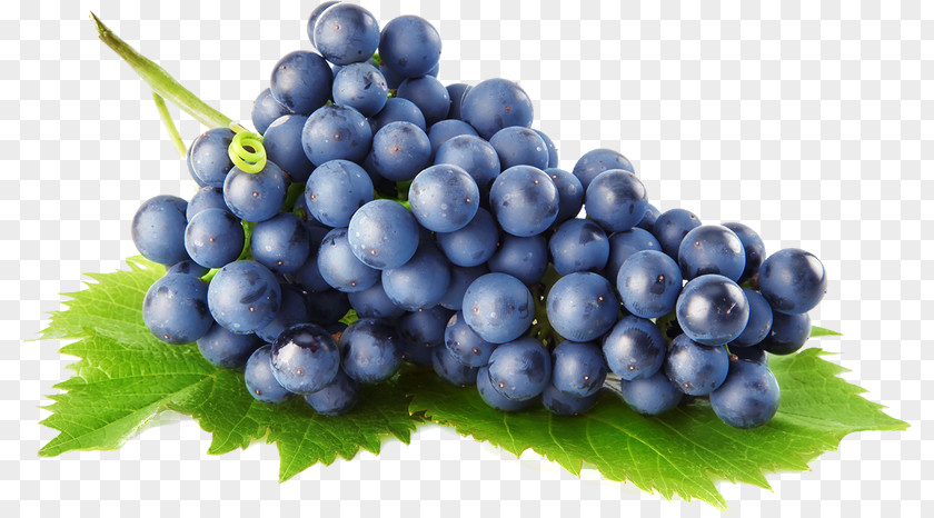 Wine Grape Albariño Food PNG