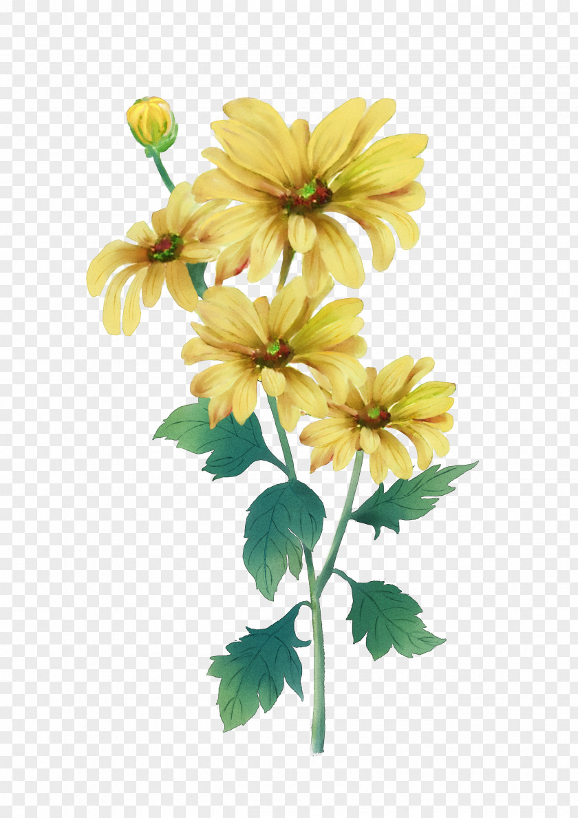 Yellow Chrysanthemum Double Ninth Festival Watercolor Painting PNG