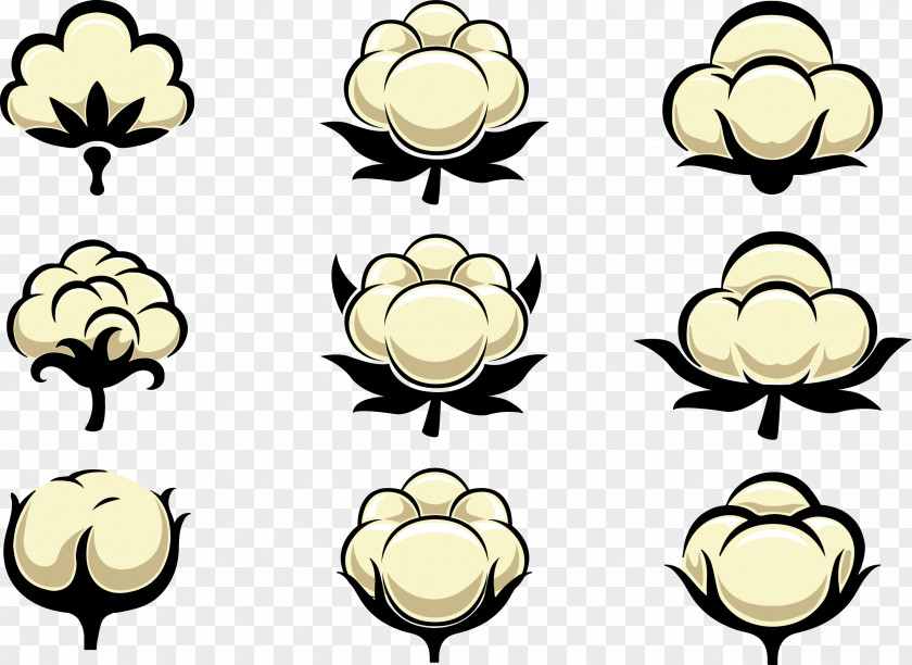 Cotton Flower PNG