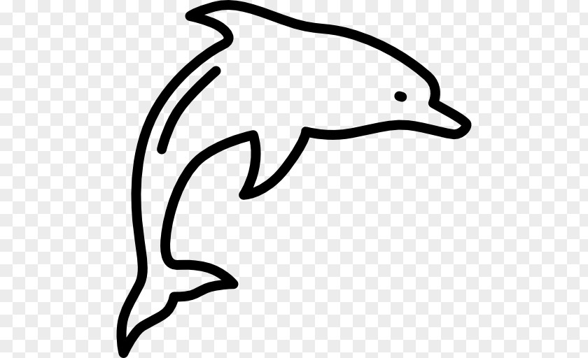DOLPHIN VECTOR PNG