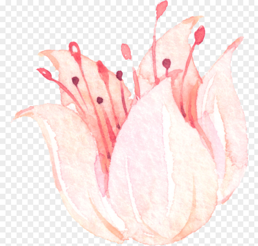 Flower Pink Clip Art PNG