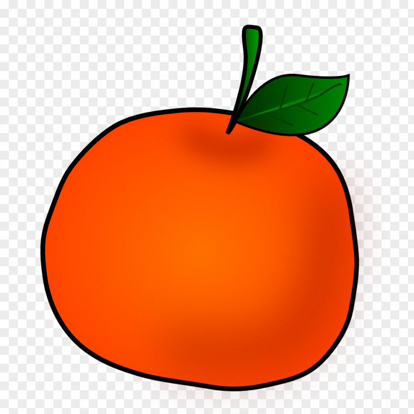 Orange Cliparts Tangerine Fruit Clip Art PNG