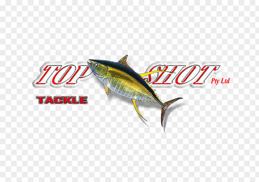 Sardine Logo Mackerel Brand Font PNG