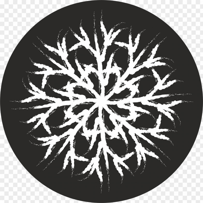 Snow Snowflake Image File Formats PNG