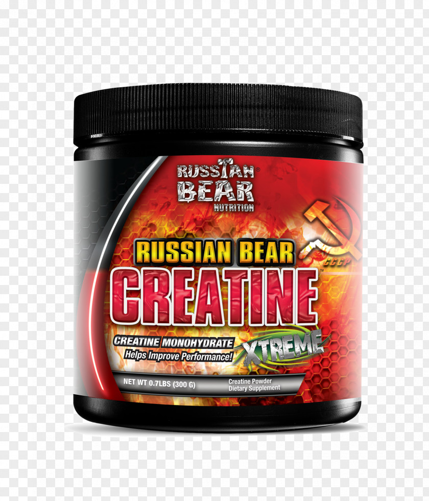 Bear Russian Brand Flavor PNG