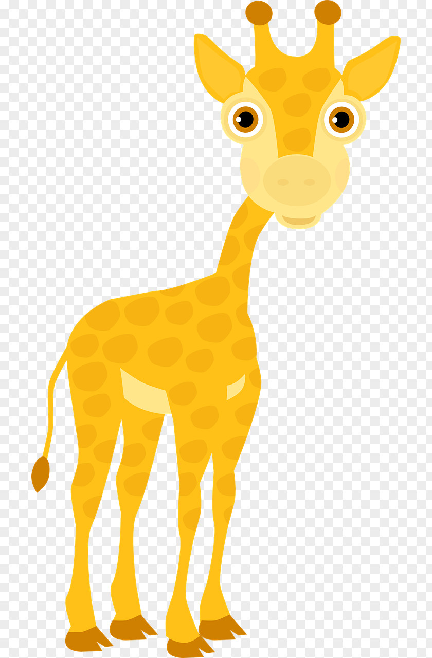 Cute Giraffe Northern Adjective Pixabay PNG