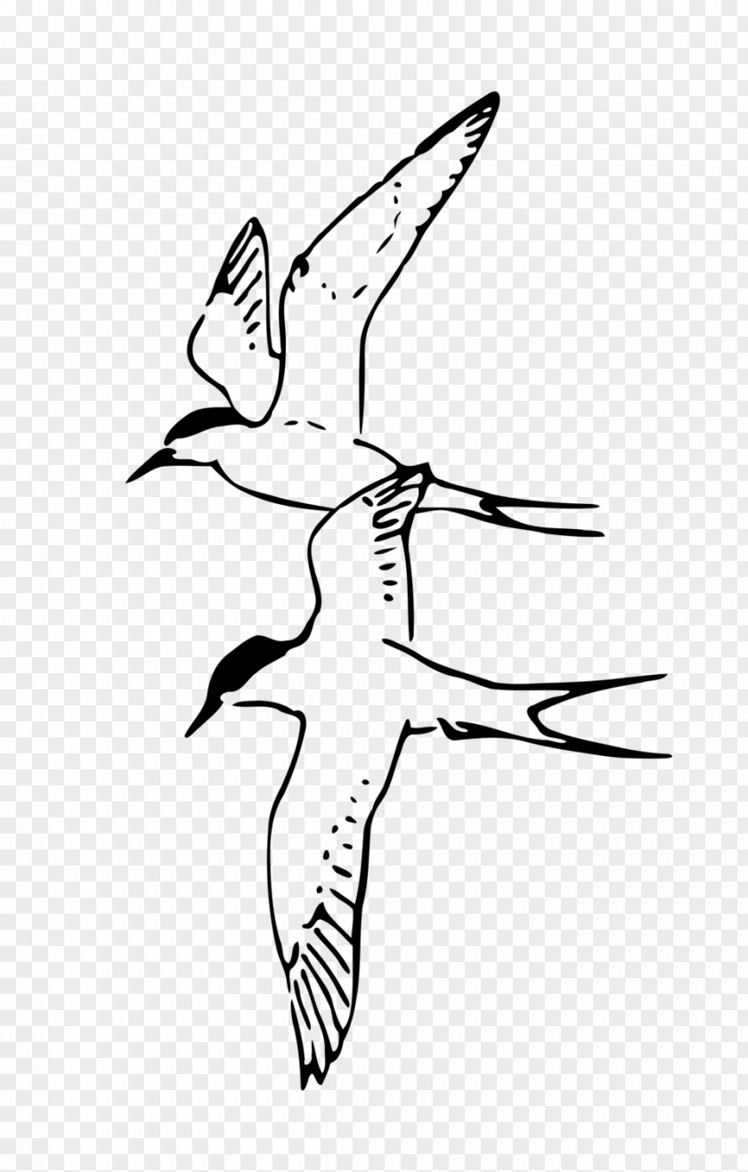 Flying Bird Drawing Line Art Clip PNG