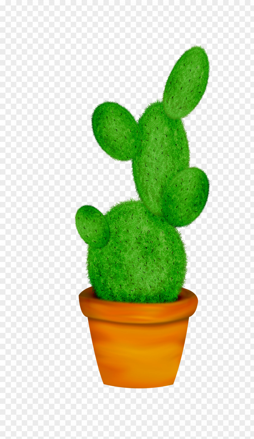 Green Succulent Cactaceae Cacti & Succulents Cactus Et Succulentes Plant Clip Art PNG