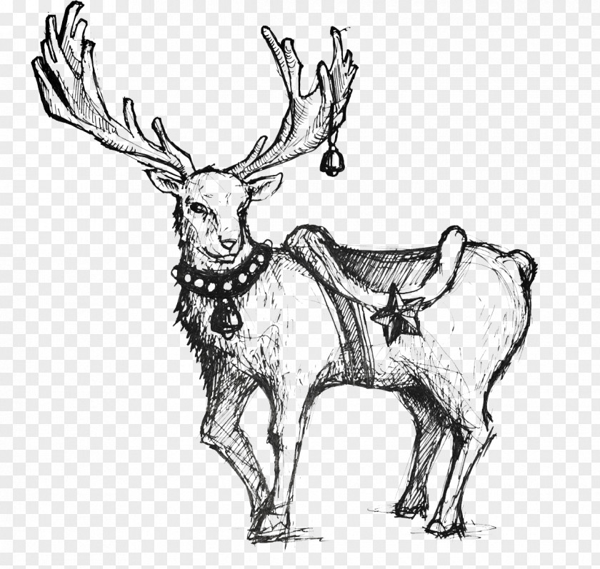Hand-painted Christmas Deer Reindeer Rudolph Red PNG