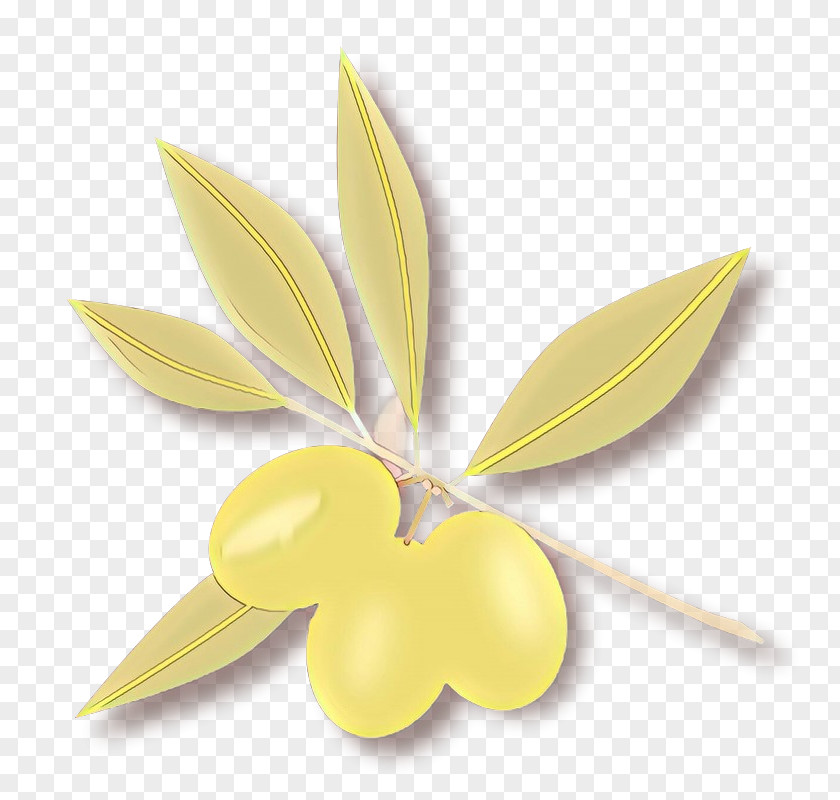 Leaf Yellow Frangipani Petal Flower PNG