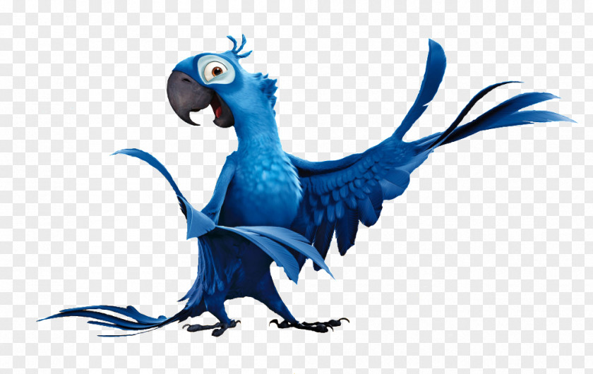 Saint Patrick's Day Blue Sky Studios Parrot Rio Spix's Macaw PNG