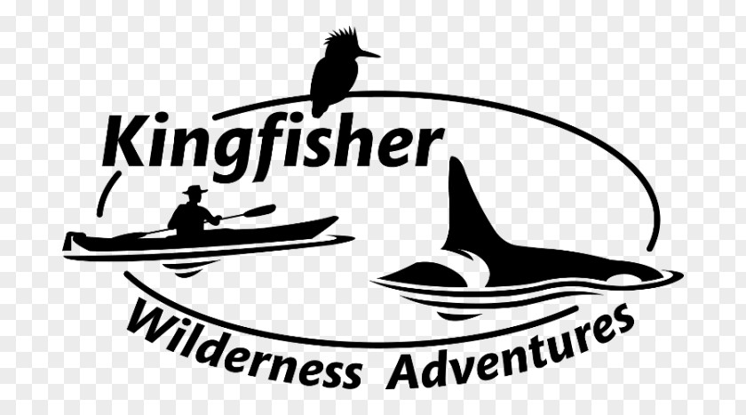 Sea Kayaking Tours Cetaceans Whale WatchingSea Marine Mammal Johnstone Strait Kingfisher Wilderness Adventures PNG