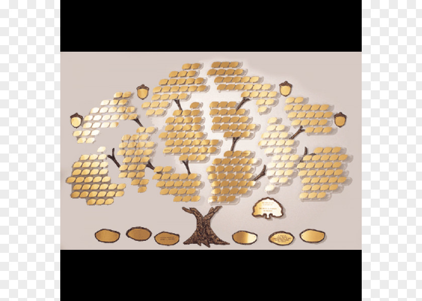 Tree Of Life Donor Recognition Wall Bronze Donation PNG