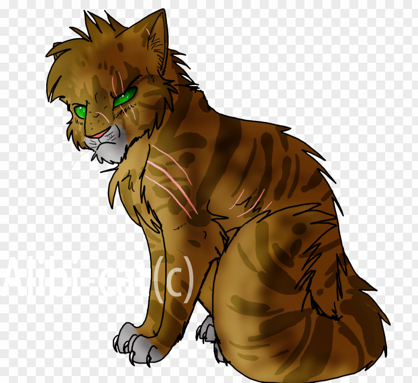 Cat Whiskers Paw Claw PNG