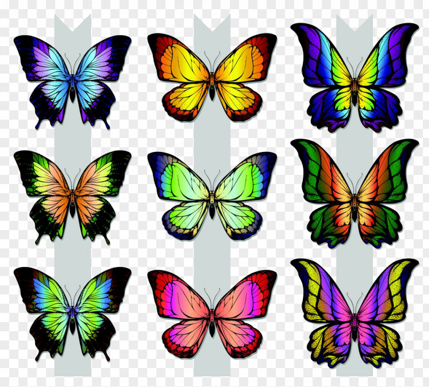 Creative Butterfly Monarch Illustration PNG