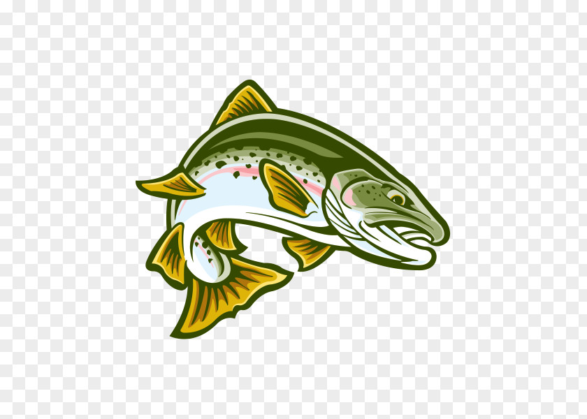Fish Cartoon Fin Trout PNG