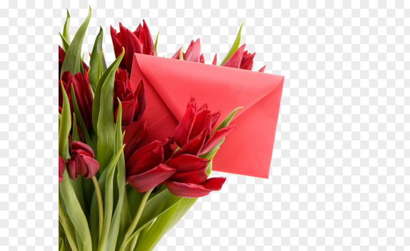 Flowers Envelope Tulip Desktop Metaphor Flower Holiday Wallpaper PNG