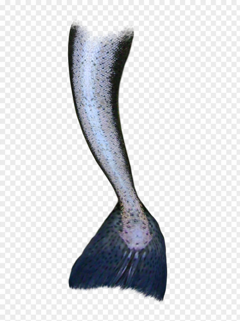 Mermaid Tail Siren PNG