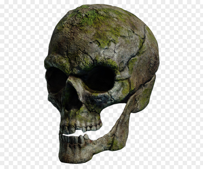 Skull Filename Extension PNG