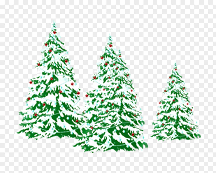 Snow On Pine Christmas Tree Clip Art PNG