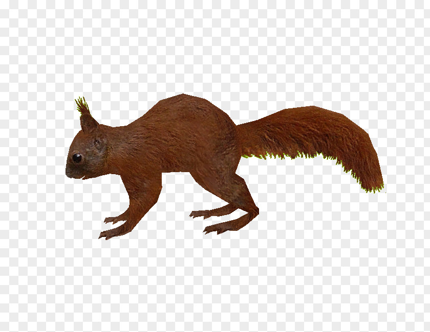 Squirrel Zoo Tycoon 2: Extinct Animals Rodent PNG