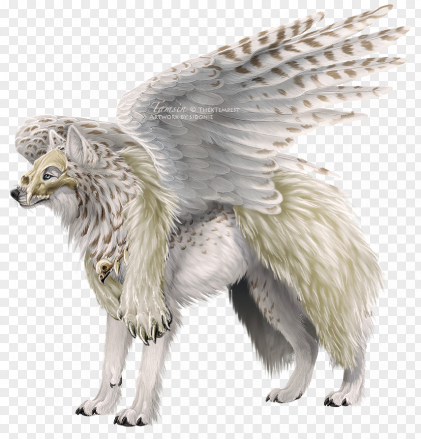 Feathe Legendary Creature Gray Wolf Mythology Art PNG