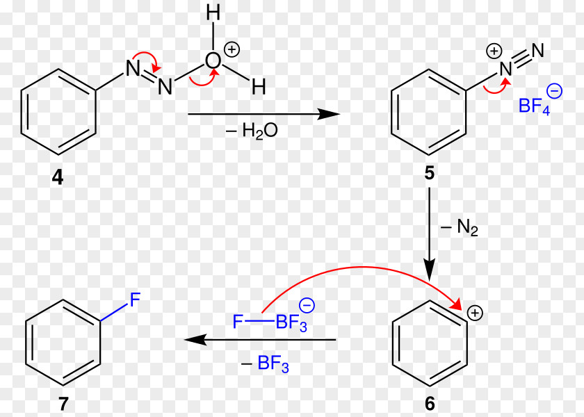 Ferryexpertscomsteffen Schiemann Schifffahrtskonto Balz–Schiemann Reaction Chemical Diazonium Compound Mechanism Diazowanie PNG