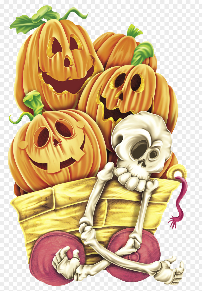 Skeleton Jack-o'-lantern Skull Pumpkin Clip Art PNG